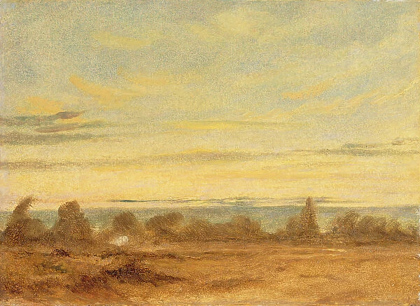Summer - Evening Landscape (oil on canvas)