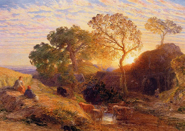 Sunset, c. 1861 (w  /  c, graphite, b  /  c and gum on card)