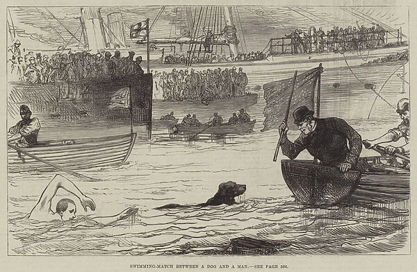 Swimming-Match between a Dog and a Man (engraving)