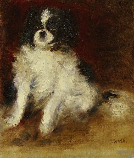 Tama (oil on canvas)