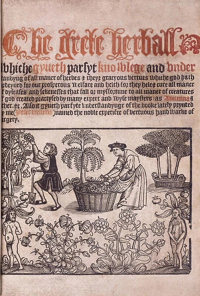 Title page illustrating a garden scene with figures, 1529