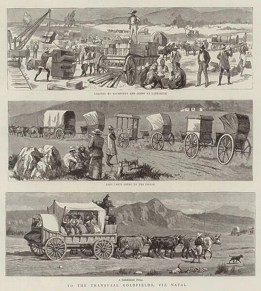 To the Transvaal Goldfields, via Natal (engraving)