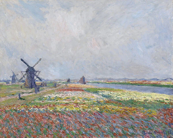 Tulip fields near The Hague par Monet, Claude (1840-1926)