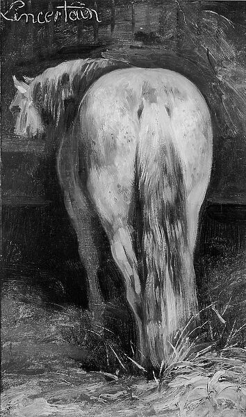 Uncertain, the Horse in the Stable (oil on canvas) (b  /  w photo)