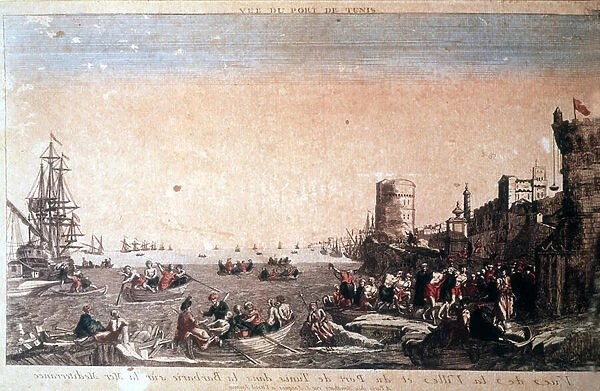 View of the City and Port of Tunis in barbarity on the Mediterranean Sea - Captured