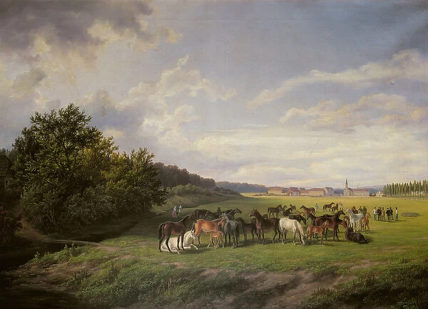 View of the Kladrub Studfarm in Bohemia, 1850