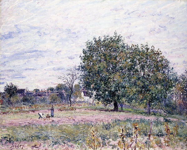 Walnut Trees, Effect of the Setting Sun - First Day of October, 1882 (oil on canvas)