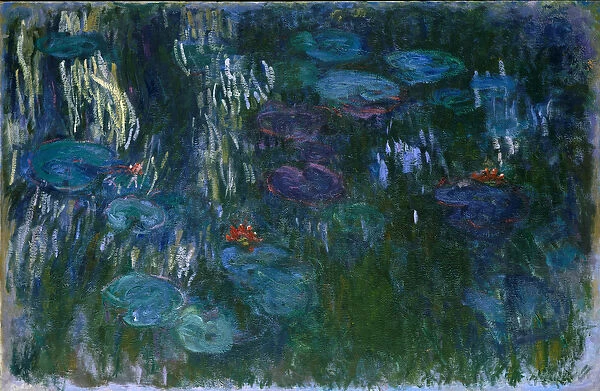 Water Lilies, 1916-19 (oil on canvas)