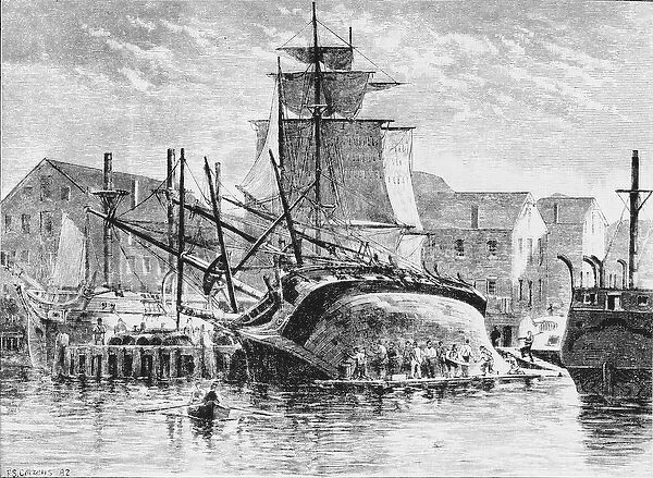 Whaling ships in New Bedford, Massachusetts, 1882 (litho) (b  /  w photo)