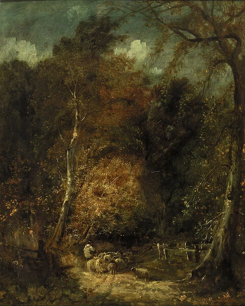 Wooded Landscape (oil on canvas)