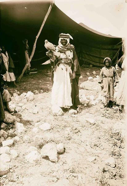 Bedouin falcon hunting 1898 nomadic Arab peoples