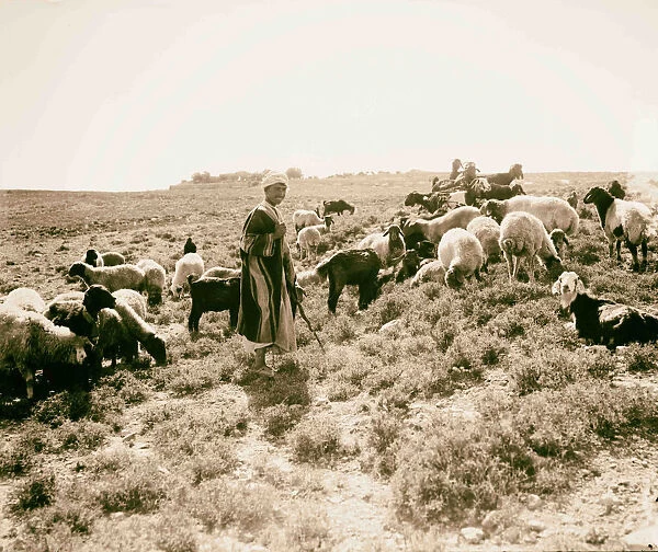 Bedouin shepherd 1898 Bedouin nomadic Arab peoples