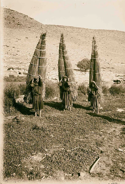 Bedouin wedding Bedouin women laden papyrus 1900