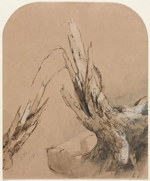A Blasted Tree recto Floorplan verso 1851 Jasper F