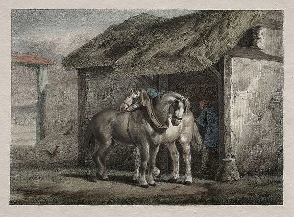 Farm Horse Horace Vernet French 1789-1863 Lithograph