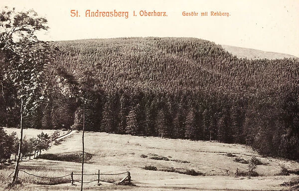 Forests Lower Saxony Mountains Harz 1909 St. Andreasberg