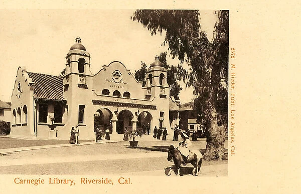 Libraries California Horses United States Riverside