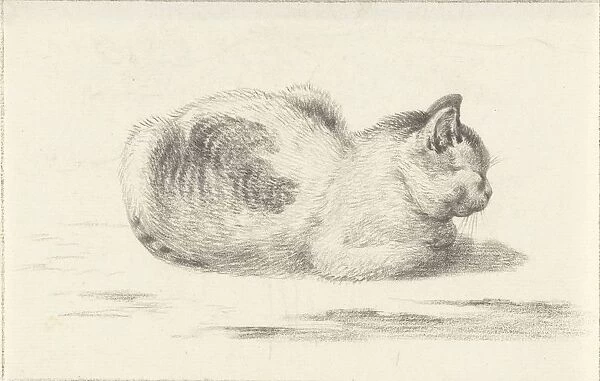 Lying cat right cat Jean Bernard 1775 1833 paper