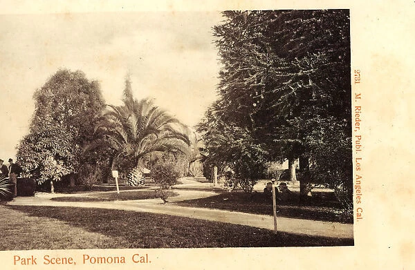 Parks California Pomona 1904 Park Scene Pomona