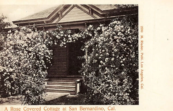 Rose gardens United States San Bernardino California