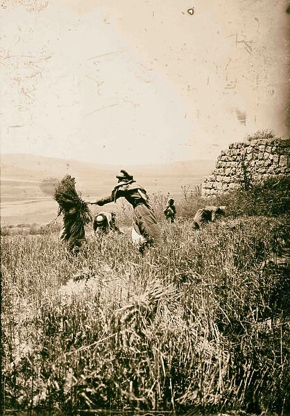 Ruins Dothan 1900 West Bank