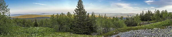 Scenery of the beginning of Easter Palearctic in Ural Mountain June 2016 Ural Ridge