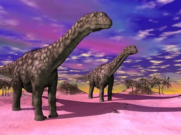 Two Argentinosaurus dinosaurs in a prehistoric landscape