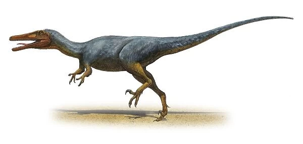 Austroraptor cabazai, a prehistoric era dinosaur