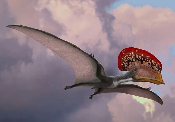 Caupedactylus ybaka, an extinct pterosaur from the Cretaceous Period