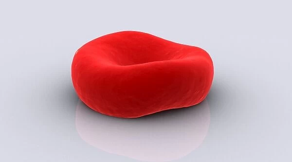 Conceptual image of a red blood cell