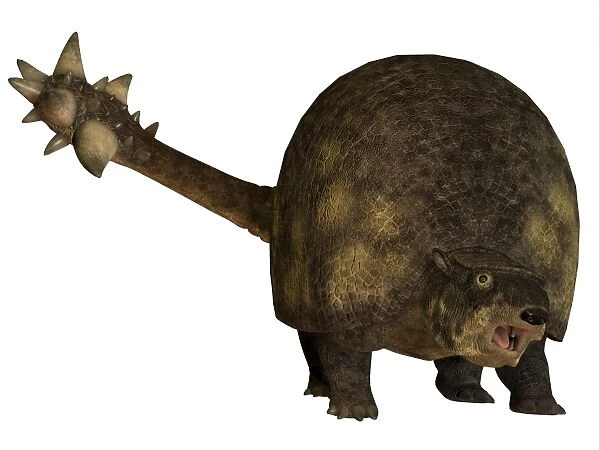 Glyptodont is a large mammal that lived during the Pleistocene epoch