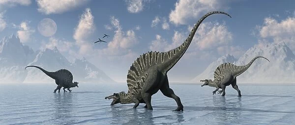 A group of Spinosaurus dinosaurs spending the day fishing