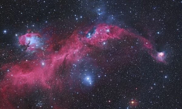 IC 2177, the Seagull Nebula