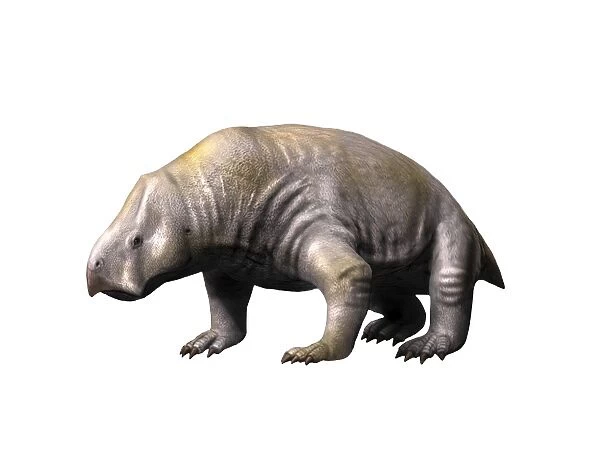 Ischigualastia is a dicynodont from the Late Triassic period