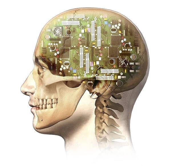 Male human head with skull and artificial electronic circuit brain