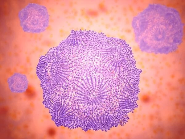 Microscopic view of Canine Parvovirus