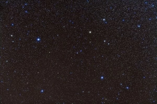 Pegasus constellation in the northern sky