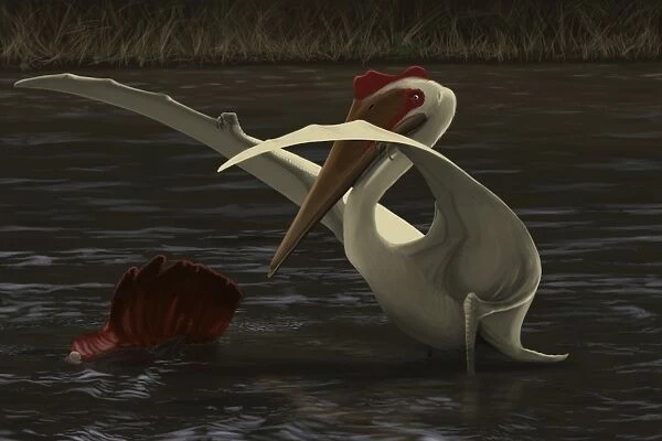 Quetzalcoatlus hunting for food in a prehistoric lake