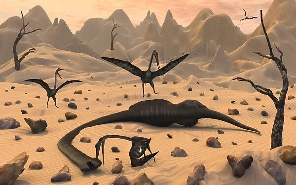 Quetzalcoatlus pterosaurs gather around the dead body of a young sauropod dinosaur