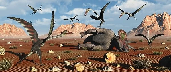 Quetzalcoatlus scavage at the remains of a dead ceratopsian dinosaur