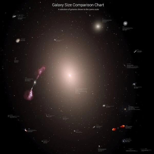 A selection of galaxies shown to the same scale