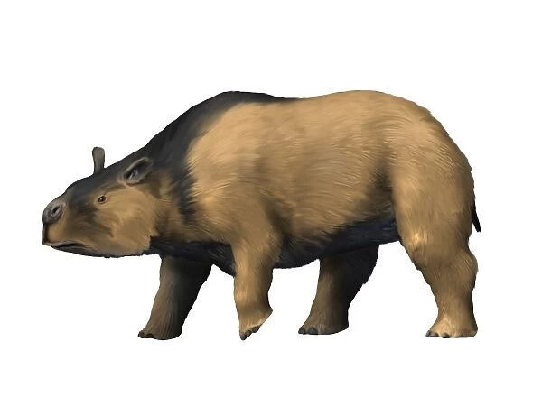 Toxodon is an extinct mammal from the Pleistocene epoch