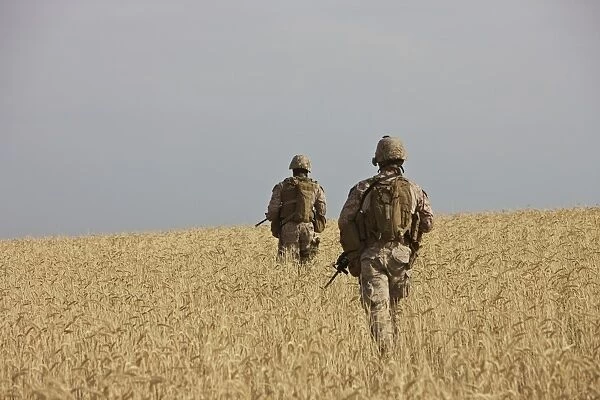 U. S. Marines patrol a wadi near Kunduz, Afghanistan