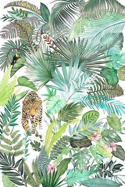 Jungle Leopard 03