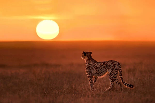 New day in Mara Plains
