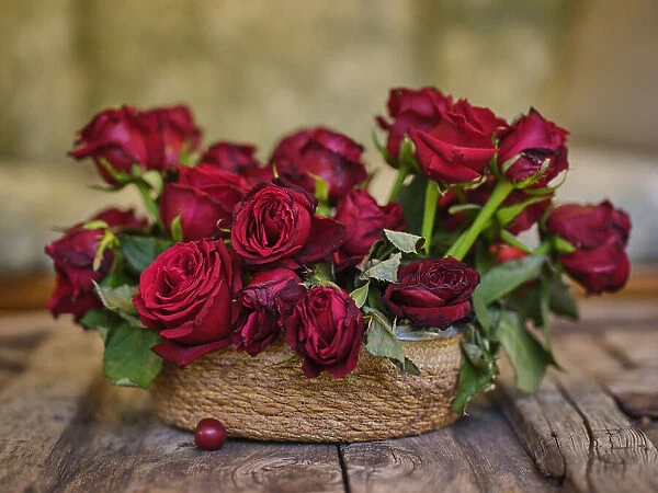 romantic red roses in a wicker basket
