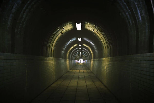 Tunnel, go ahead