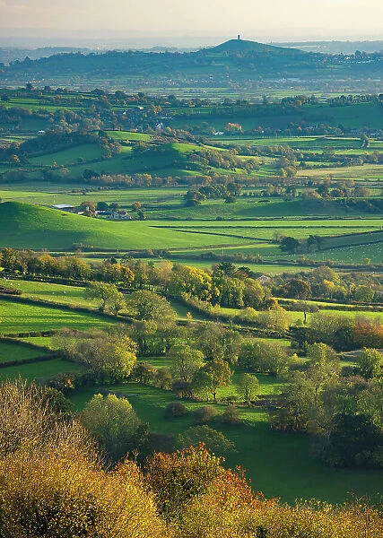 Glastonbury Tor and the Somerset Levels in autumn viewed from Stoke Camp Reserve, the Mendips, Somerset, England, UK. November, 2022