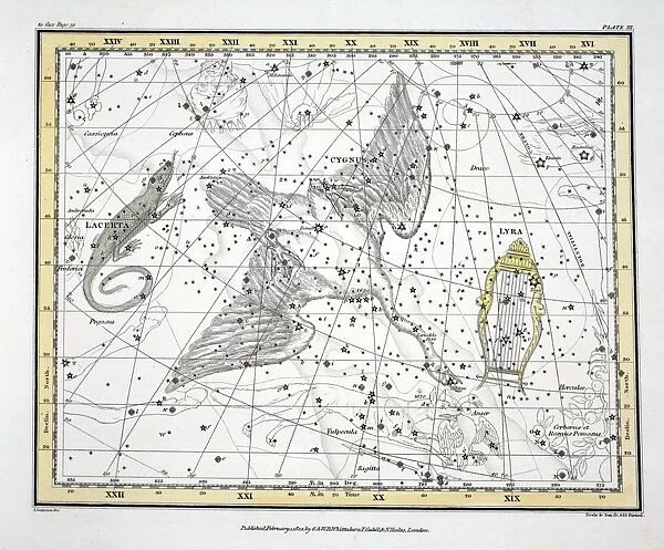 The Constellations (Plate XI) Cygnus, Lacerta and Via Lactea, 1822