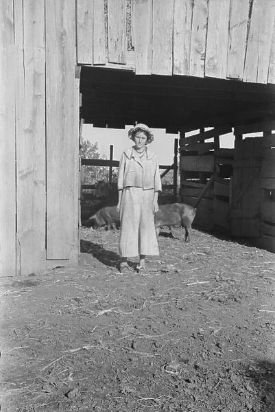 Dora Mae Tengle, Hale County, Alabama, 1936. Creator: Walker Evans